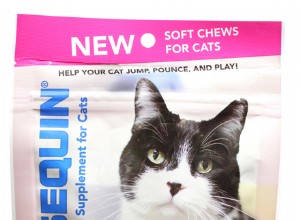 Представляем мягкие жевательные конфеты Cosequin для кошек, новейший представитель семейства Cosequin!