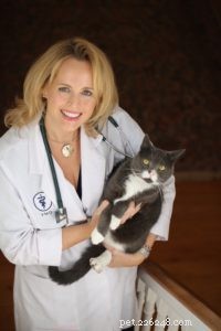 Vezměte svou kočku na veterinární den