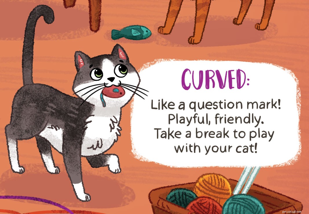 Cosa sta cercando di dirti la coda del tuo gatto