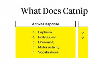 Catnip은 고양이에게 무엇을 합니까?
