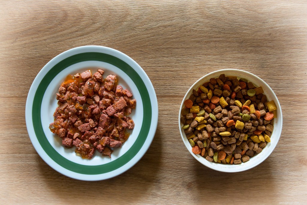 Mokré krmivo pro kočky:Jaké je nejlepší vlhké krmivo pro kočky?