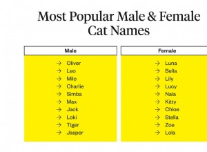 Лучшие клички для кошек:как назвать свою кошку?