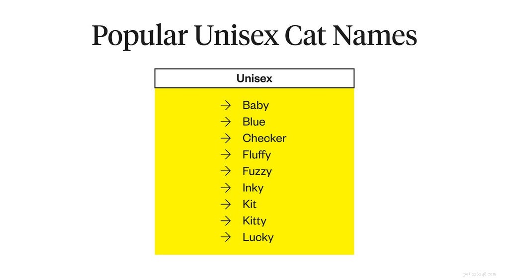I migliori nomi di gatti:come dare un nome al tuo gatto?