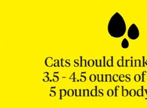 Chat qui boit beaucoup d eau :qu est-ce que cela signifie ?