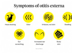 猫の耳の感染症：症状、原因、治療 