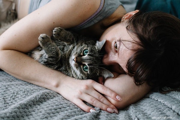 Kliande katt:Symtom, orsaker och behandling