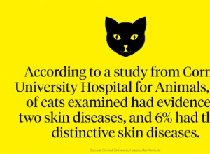 Les conditions courantes de la peau des chats et comment les traiter