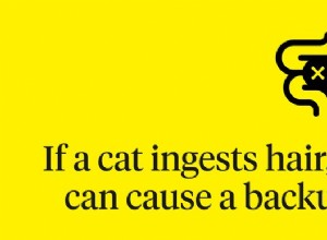 Запор у кошек:симптомы, причины и лечение