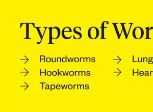 Quais são os sintomas de vermes em gatos?