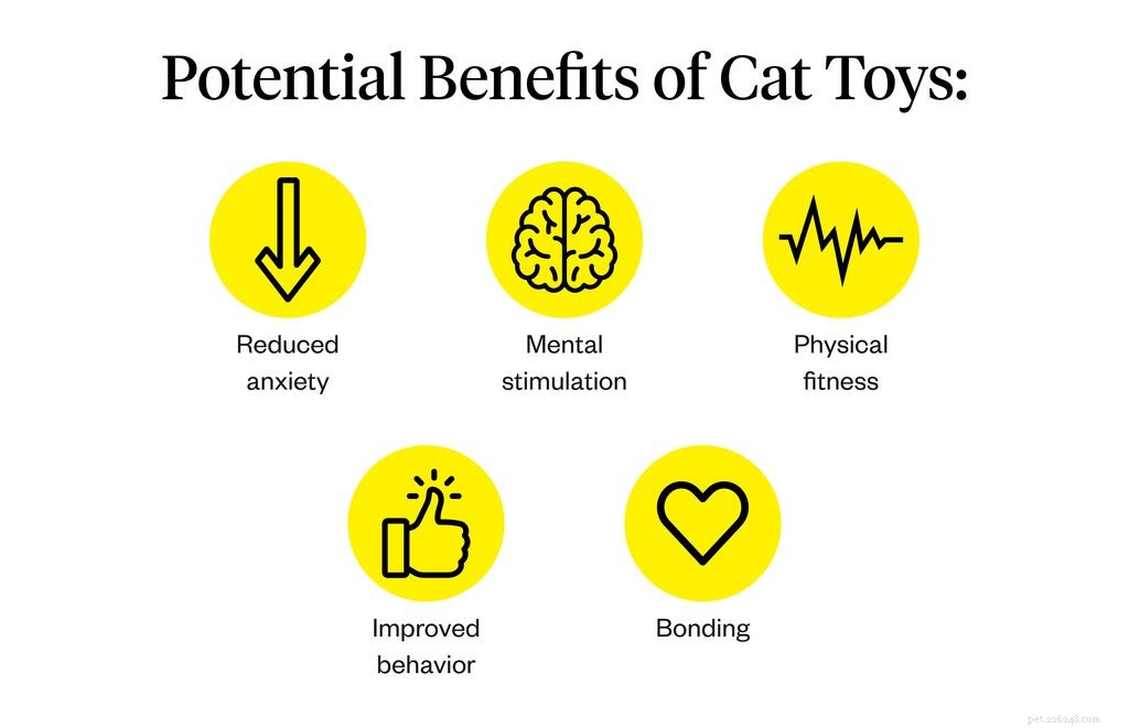 고양이 장난감:왜 필요한지 및 무엇을 얻을 수 있는지