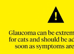 Co vědět o glaukomu u koček
