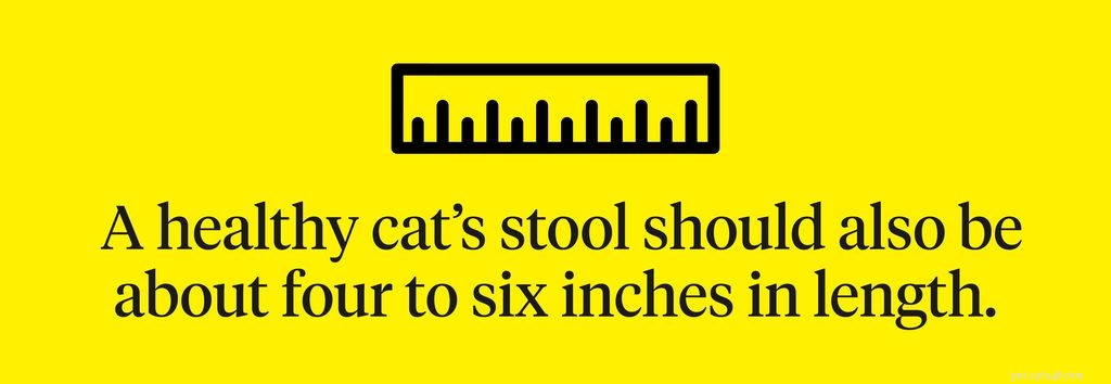 Graf kočičího hovínka:Pochopení stolice vaší kočky