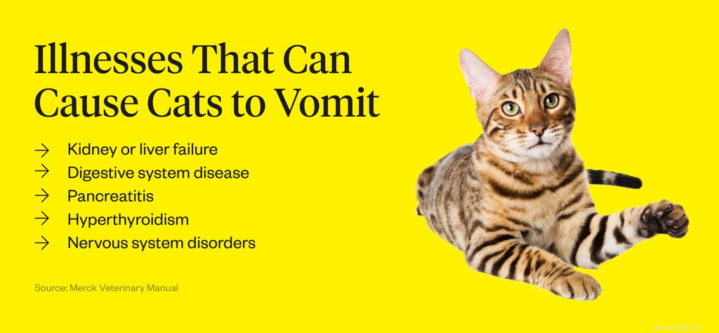 Pourquoi mon chat vomit-il ?