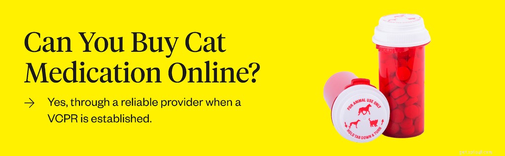 Onde comprar remédios para gatos on-line