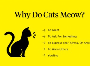 猫がニャーと鳴くのはなぜですか？ 
