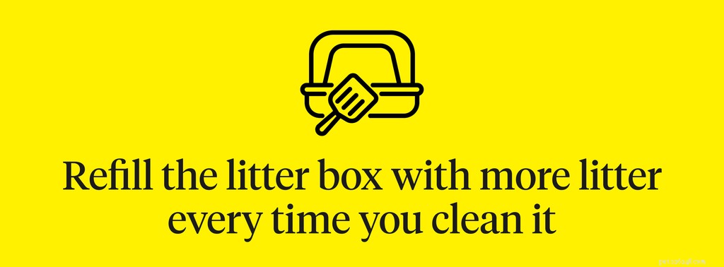Litter Box Training 101