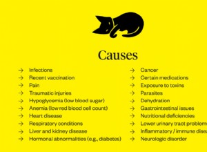 Letargická kočka:Příčiny a léčba