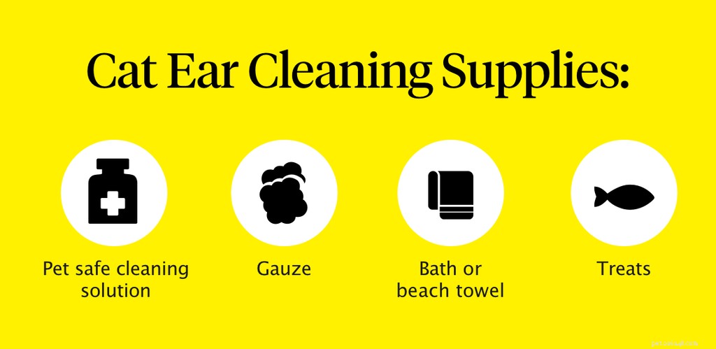 Как чистить уши кошке в домашних условиях