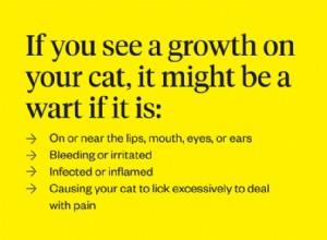 Co jsou kočičí bradavice a jak je léčíte?