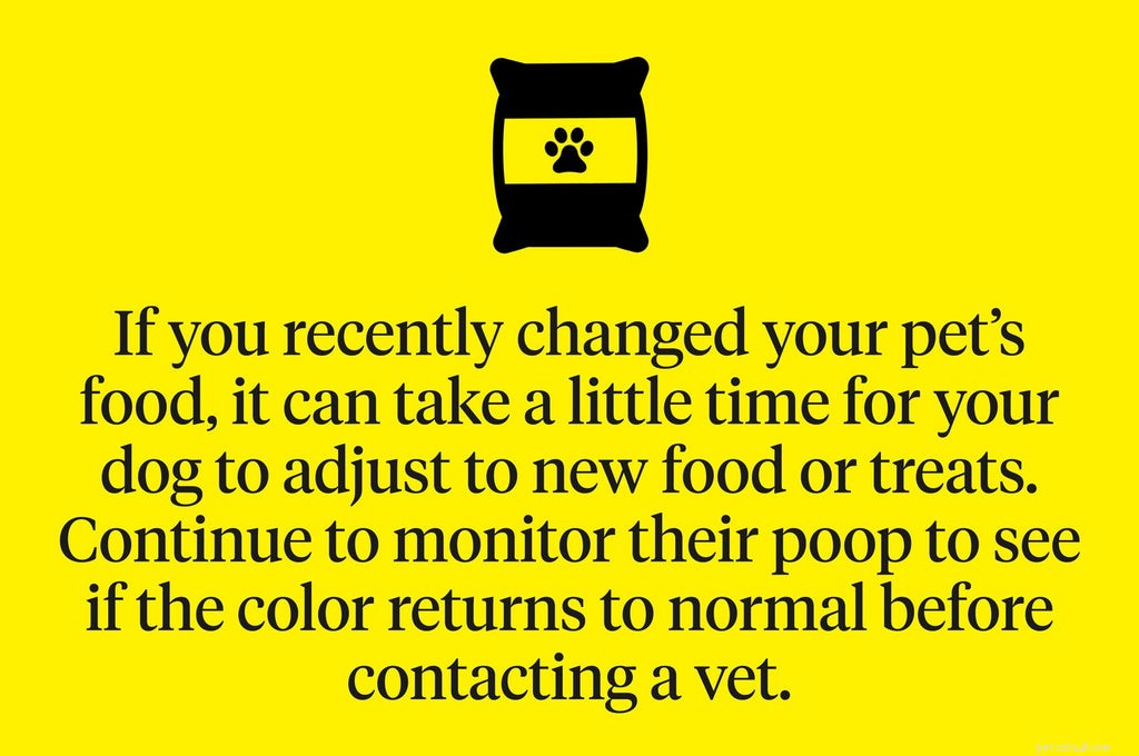 Caca de chien jaune :Quand devriez-vous vous inquiéter ?