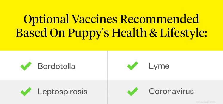 Welke vaccins hebben puppy s nodig?