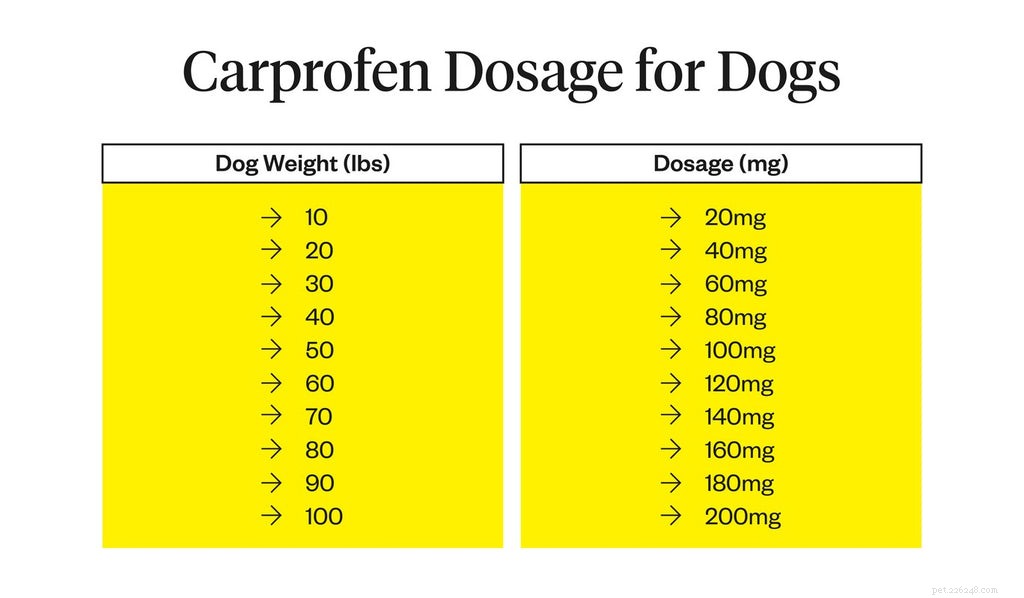 Carprofen per cani:usi, effetti collaterali, dosaggio e sicurezza