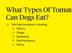 Můžou psi jíst rajčata?