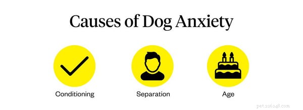 Ansiedade canina:um guia para donos de animais de estimação para ajudar seu cão a viver melhor