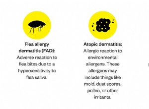 犬の皮膚アレルギーの症状と治療 