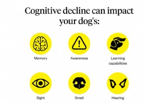 Identifikace a léčba úzkosti u starších psů