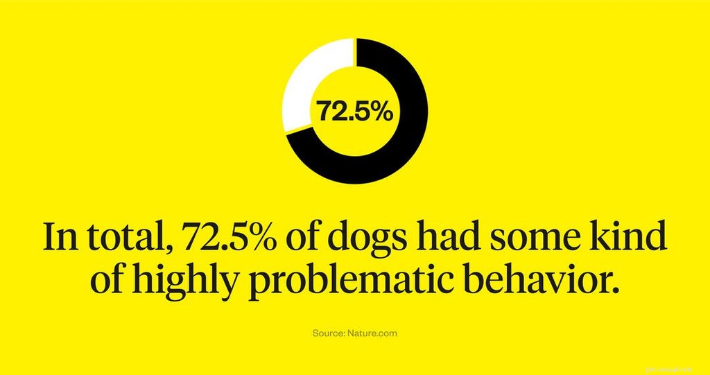 Úzkostná psí plemena:Psi, kteří jsou náchylnější k úzkosti