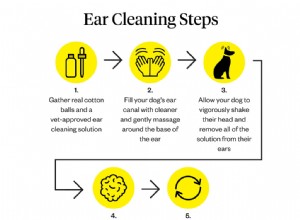 犬の耳垢のカラーチャート 