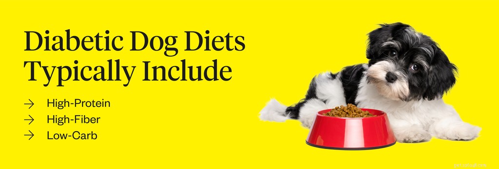 Dieta para diabetes para cães:como alimentar um cão diabético