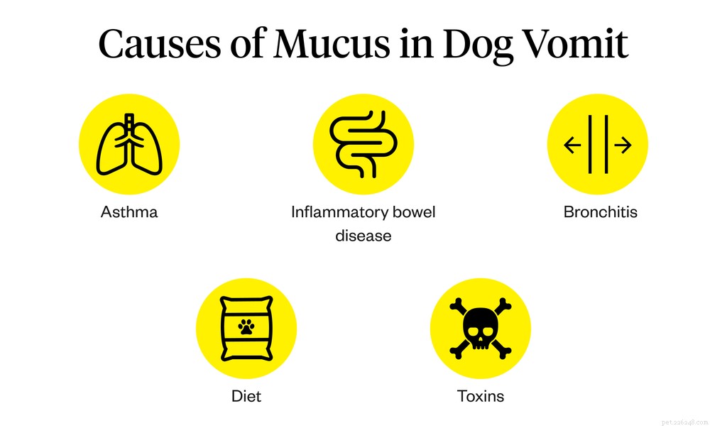 Vad orsakar hundslem?