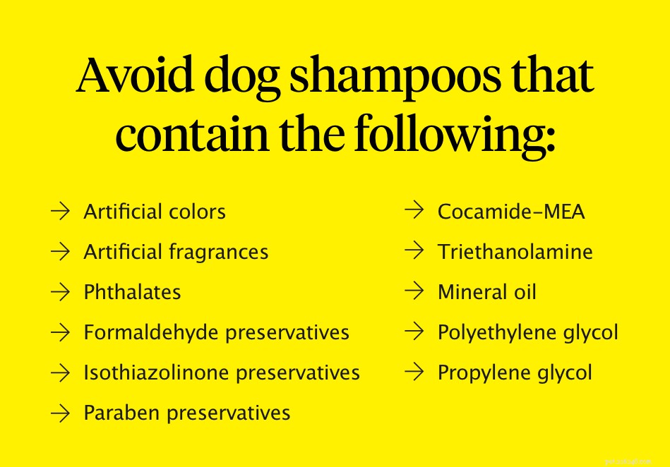 Come fare il bagno al tuo cane:guida passo passo