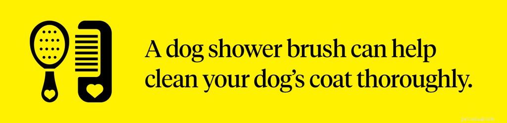 Hur du badar din hund:Steg-för-steg-guide