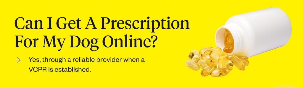 Como obter uma prescrição on-line para seu cão