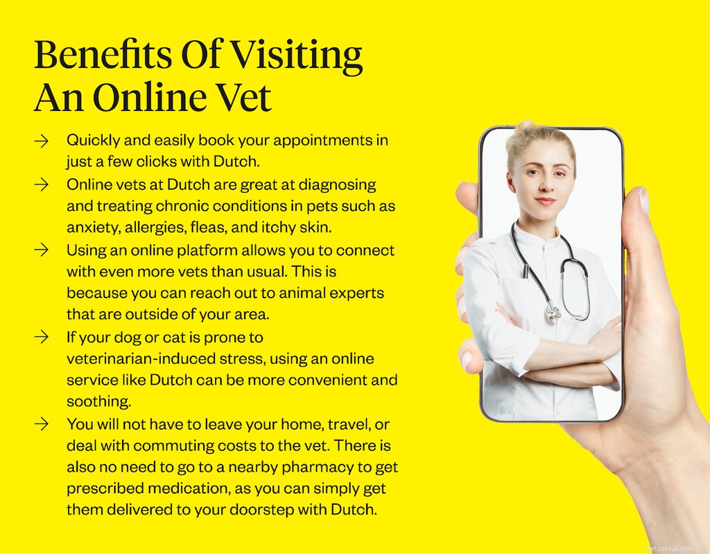あなたの犬をオンラインで処方箋にする方法 