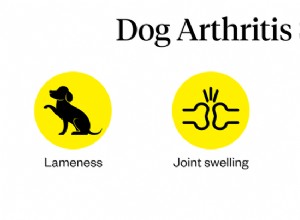 Artritida psů:Příznaky, příčiny a léčba