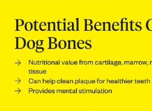 개가 뼈를 먹을 수 있습니까?
