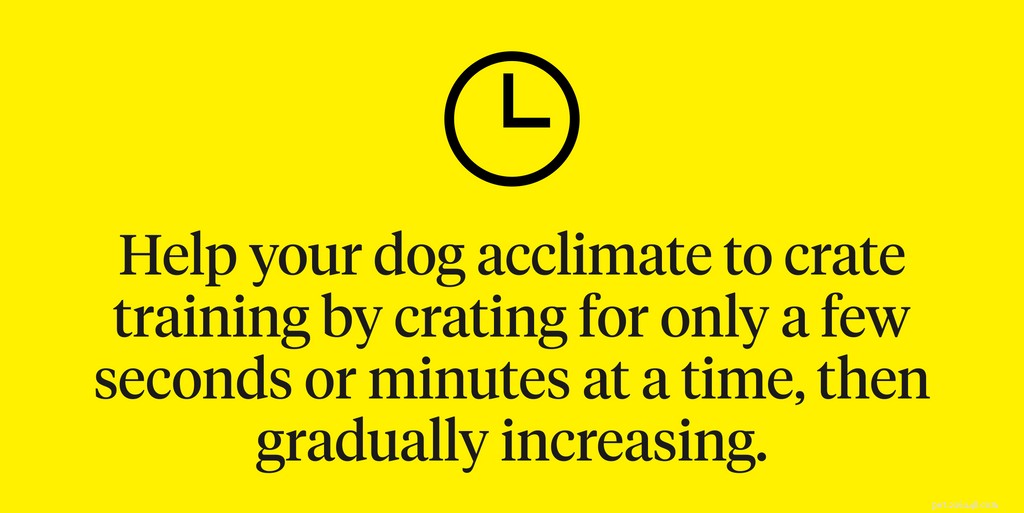 Crate Training Your Dog:cosa dovresti sapere