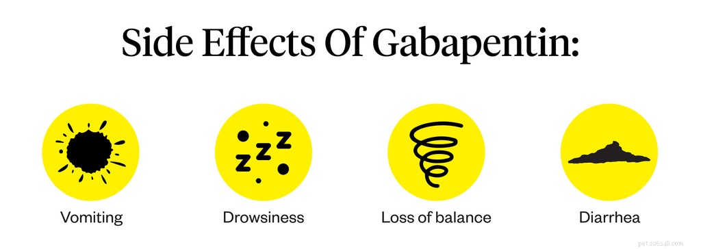 Co vědět o Gabapentinu pro psy