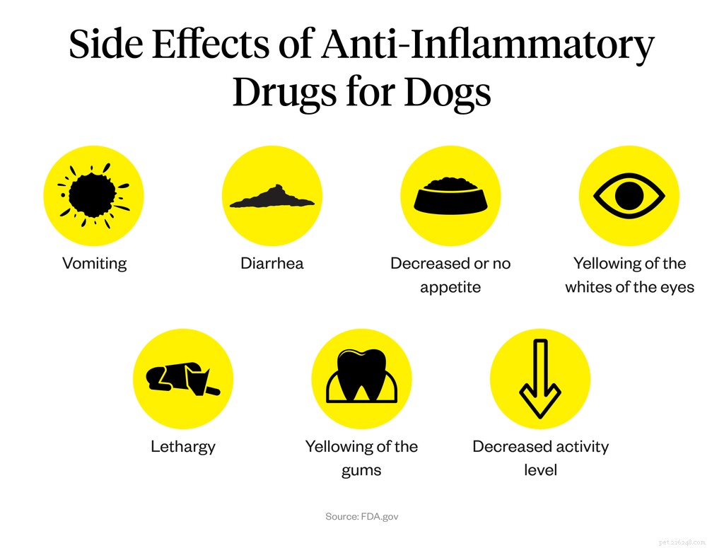 Wat u moet weten over niet-steroïde ontstekingsremmers voor honden
