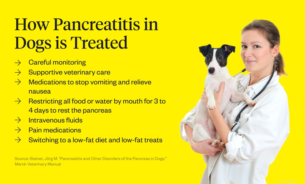Symtom på pankreatit hos hundar