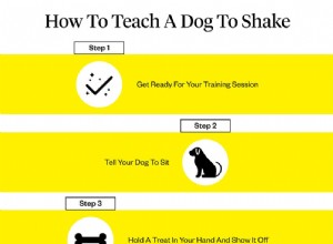 犬に握手を教える方法 