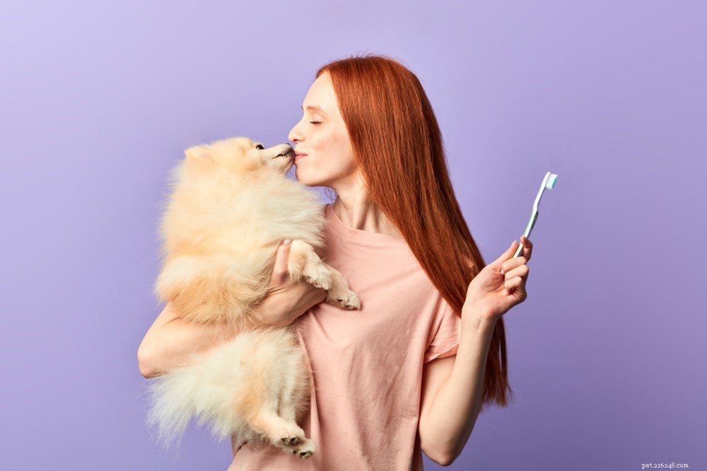 Как избавиться от неприятного запаха изо рта у собаки (5 советов)