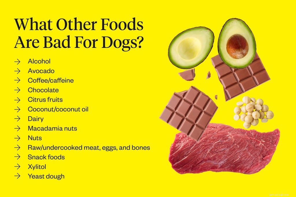 Les raisins sont-ils mauvais pour les chiens ?