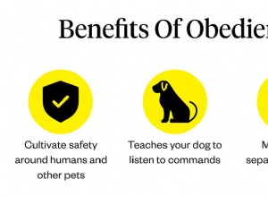 Руководство по обучению собак послушанию