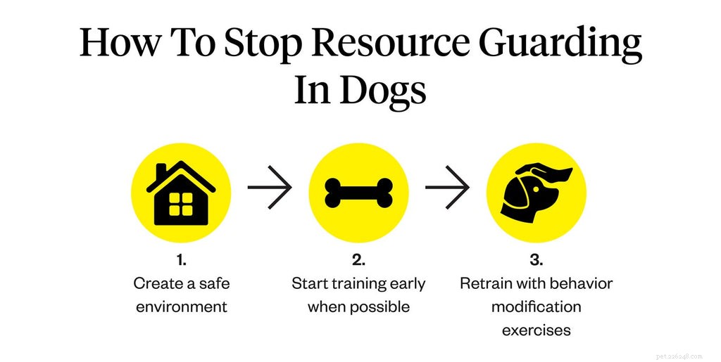 Come risolvere la protezione delle risorse nei cani