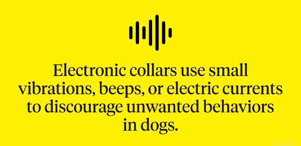 Elektronische halsbanden voor honden